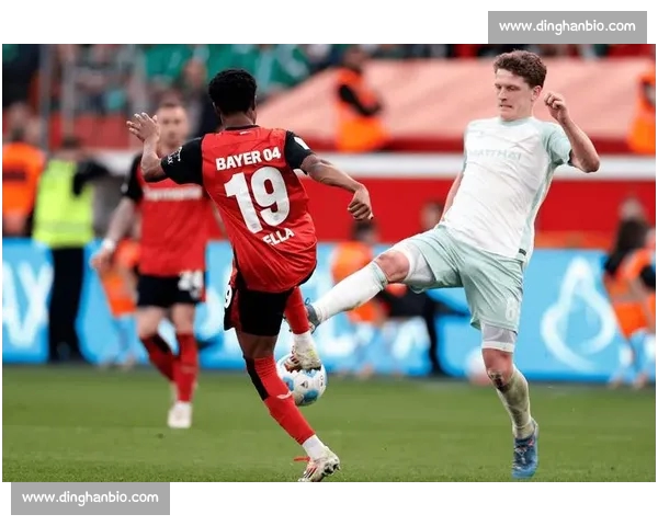 体育资讯平台聚焦全球赛事最新动态深入分析赛事背后故事助力球迷精准预测